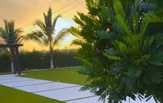 El jardín de The Ranch al atardecer, con palmeras y un camino de piedra.